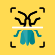 Insekten Scanner App Insekten Scanner App
